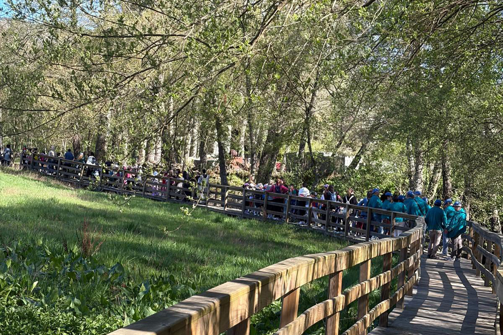 656977869_1524905606308450_8929994513900432342_n